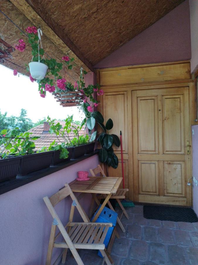 ZaječarStancic 019公寓 外观 照片