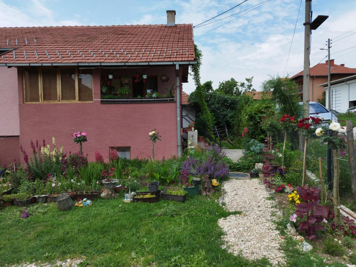 ZaječarStancic 019公寓 外观 照片